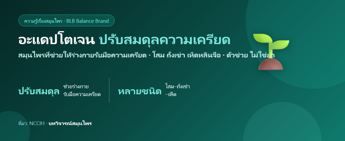 อะแดปโตเจน (Adaptogens) คืออะไร? สมุนไพรปรับสมดุลความเครียด โสม–ถั่งเช่า–เห็ด