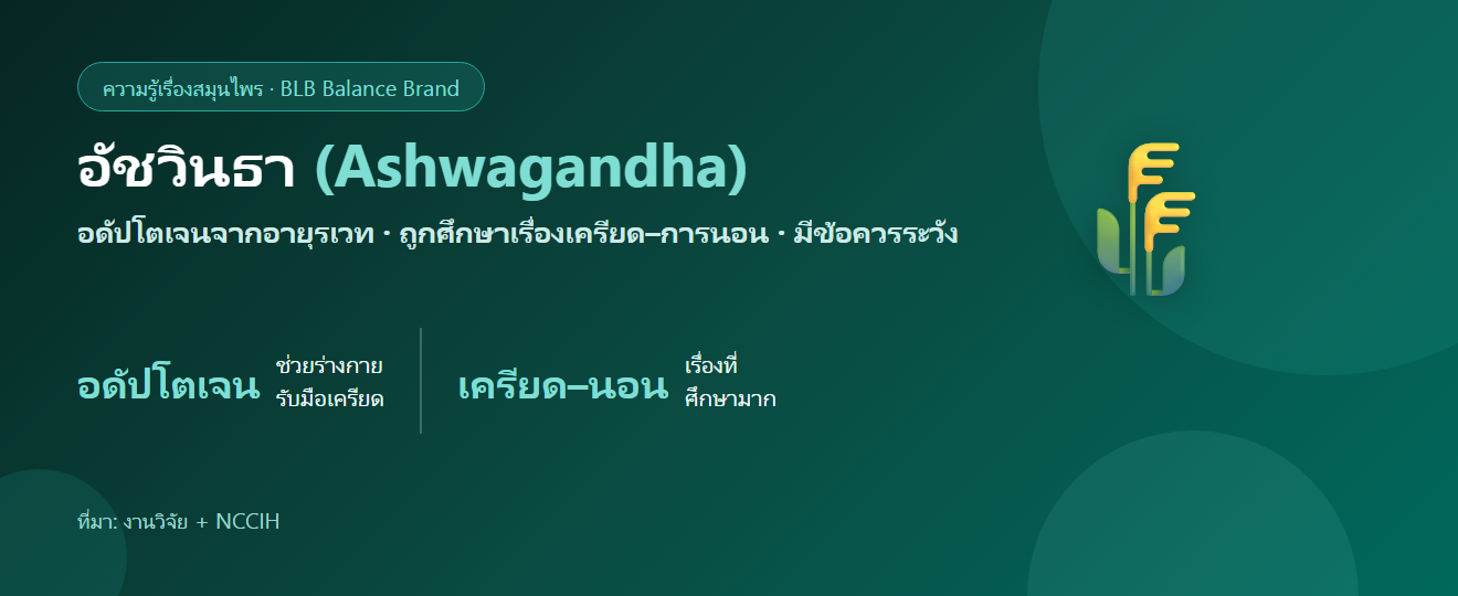 อัชวินธา (Ashwagandha) คืออะไร? สมุนไพรอดัปโตเจนกับความเครียดและการนอน
