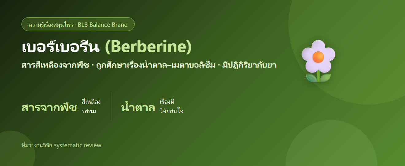 เบอร์เบอรีน (Berberine) คืออะไร? สารจากสมุนไพรที่ถูกศึกษาเรื่องน้ำตาลและลำไส้