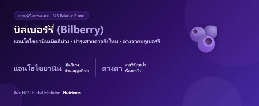 บิลเบอร์รี่ (Bilberry) คืออะไร? แอนโธไซยานินกับการบำรุงสายตา จริงไหม