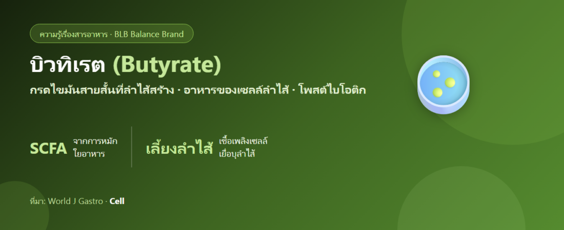บิวทิเรต (Butyrate) คืออะไร? กรดไขมันสายสั้นที่ลำไส้สร้าง และทำไมสำคัญ