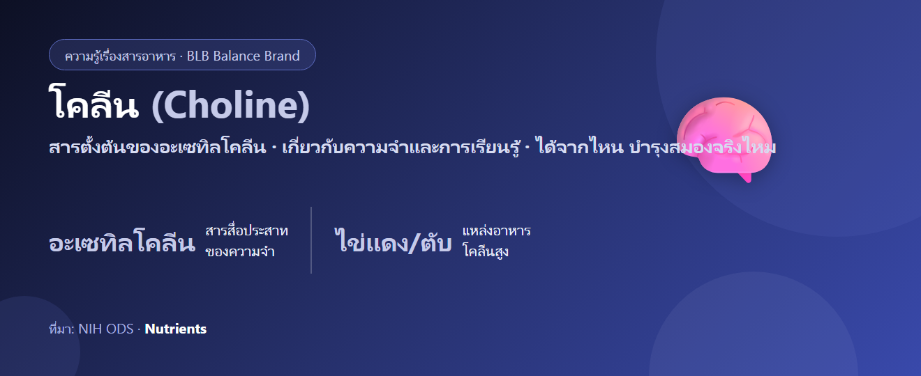 โคลีน (Choline) คืออะไร? สารตั้งต้นความจำ บำรุงสมองจริงไหม และได้จากไหน