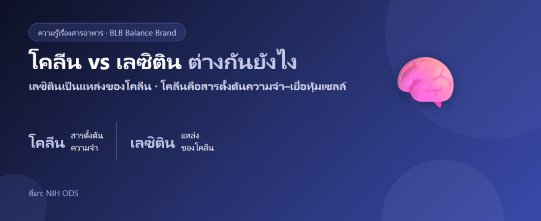 โคลีน vs เลซิติน ต่างกันยังไง? สารบำรุงสมอง–ตับที่หลายคนสับสน