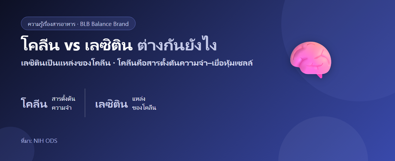 โคลีน vs เลซิติน ต่างกันยังไง? สารบำรุงสมอง–ตับที่หลายคนสับสน