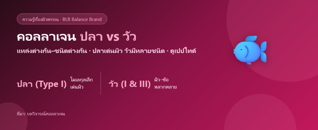 คอลลาเจนปลา vs คอลลาเจนวัว ต่างกันยังไง? เลือกแบบไหนดี