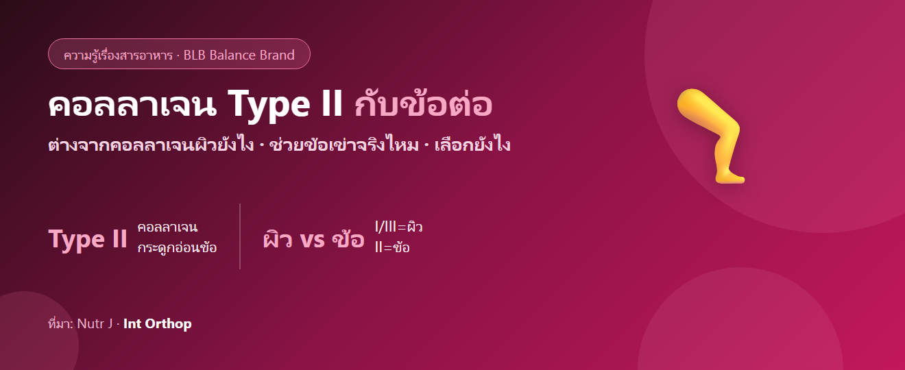 คอลลาเจน Type II กับข้อต่อ : ต่างจากคอลลาเจนผิวยังไง และช่วยข้อเข่าจริงไหม