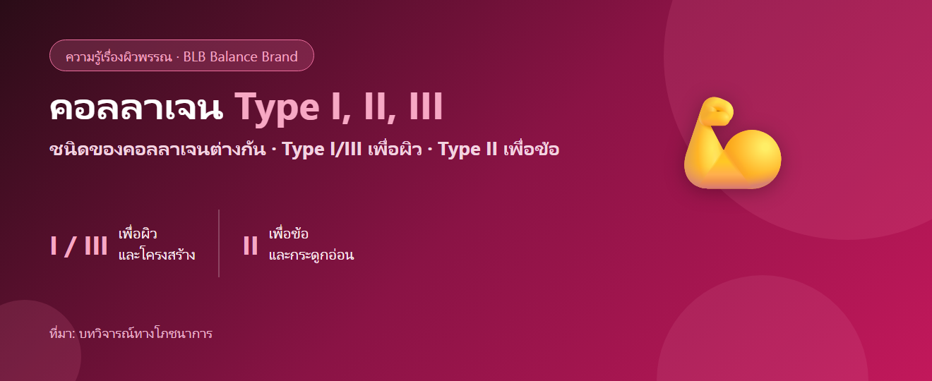 คอลลาเจน Type I, II, III ต่างกันยังไง? เลือกให้ตรงเป้า ผิว vs ข้อ