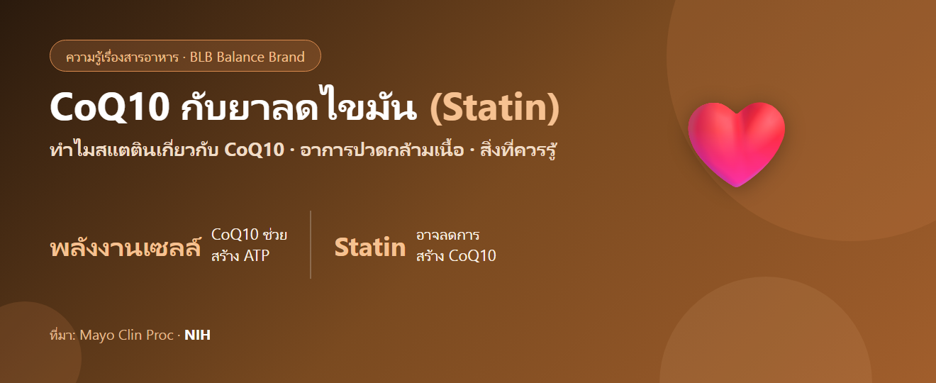 CoQ10 กับคนกินยาลดไขมัน (Statin) : ทำไมถึงเกี่ยวกัน และควรรู้อะไรบ้าง