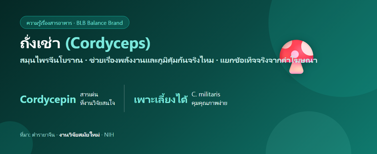 ถั่งเช่า (Cordyceps) คืออะไร? สรรพคุณ สารสำคัญ และความจริงเรื่องเพิ่มพลัง–ดูแลภูมิ