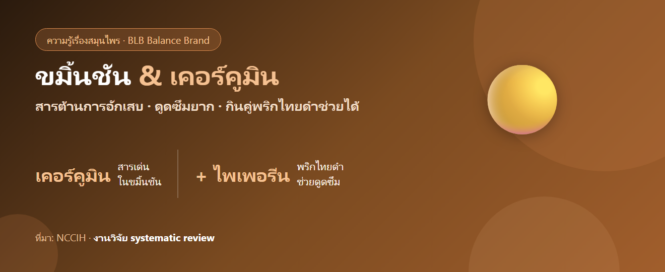 ขมิ้นชัน & เคอร์คูมิน: สารต้านการอักเสบ งานวิจัยว่าไง และกินยังไงให้ดูดซึม
