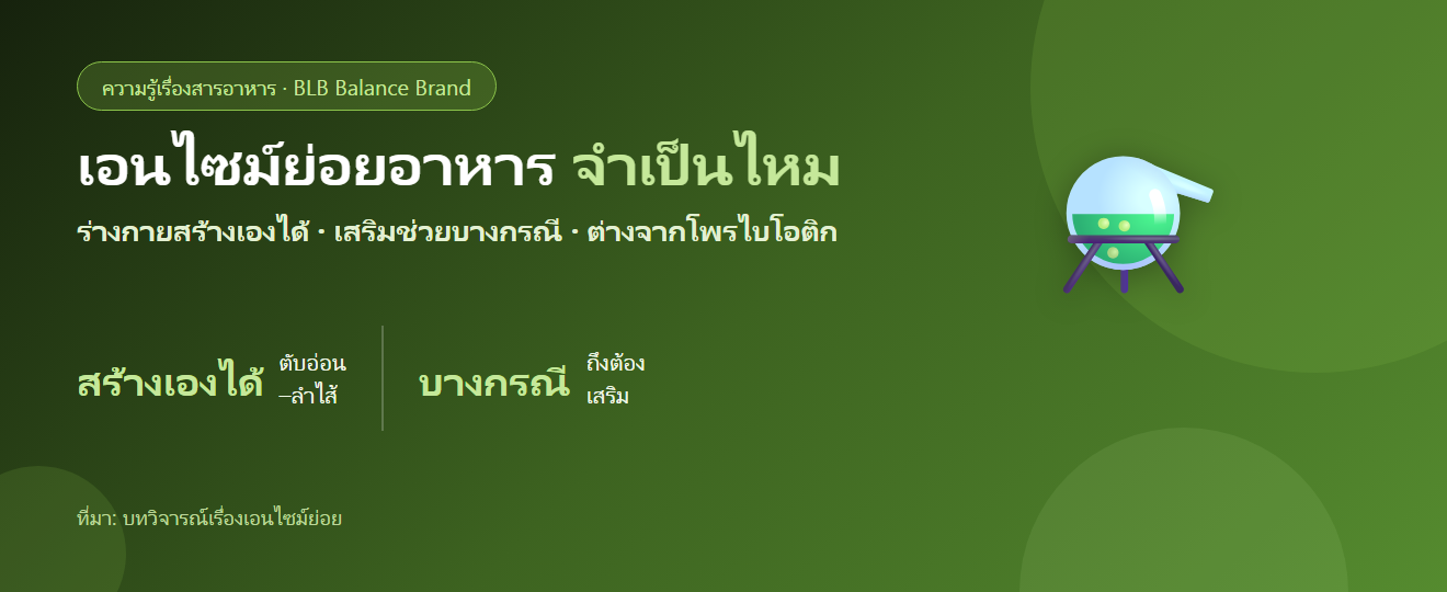เอนไซม์ย่อยอาหารคืออะไร? จำเป็นต้องเสริมไหม ใครควรใช้