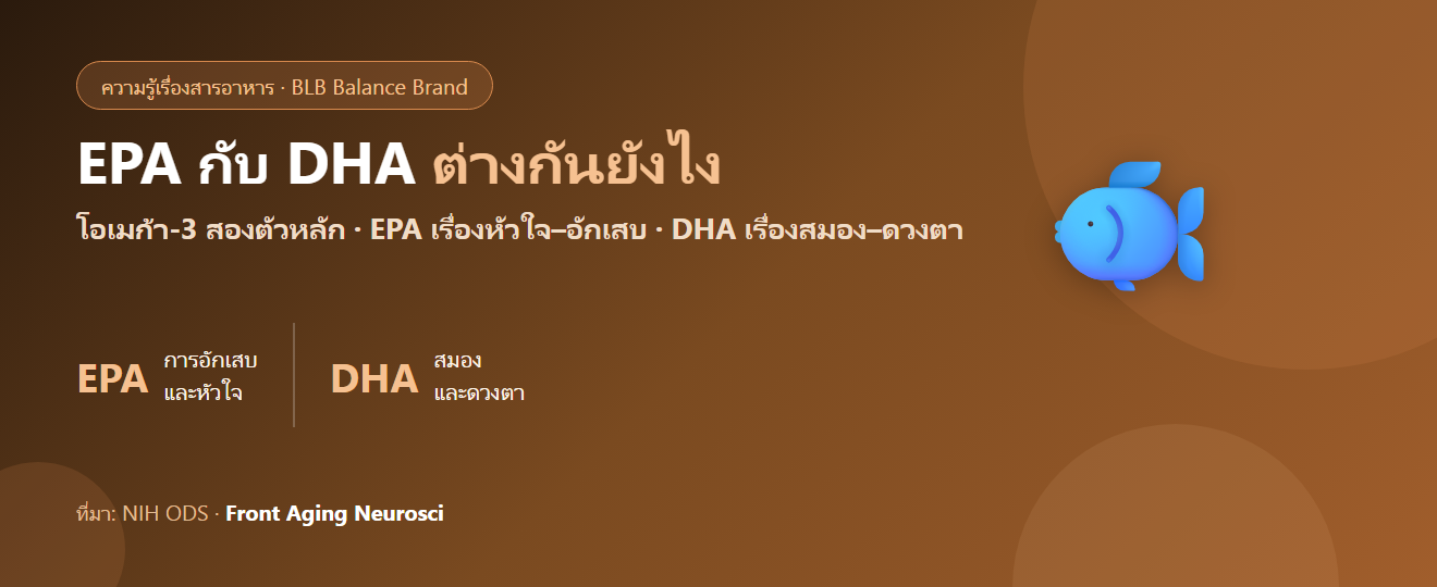 EPA กับ DHA ต่างกันยังไง? โอเมก้า-3 สองตัวหลัก และเลือกยังไงให้ตรงเป้าหมาย