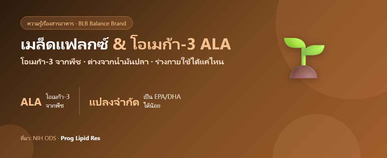 เมล็ดแฟลกซ์ (Flaxseed) กับโอเมก้า-3 ALA : ต่างจากน้ำมันปลายังไง และร่างกายใช้ได้แค่ไหน