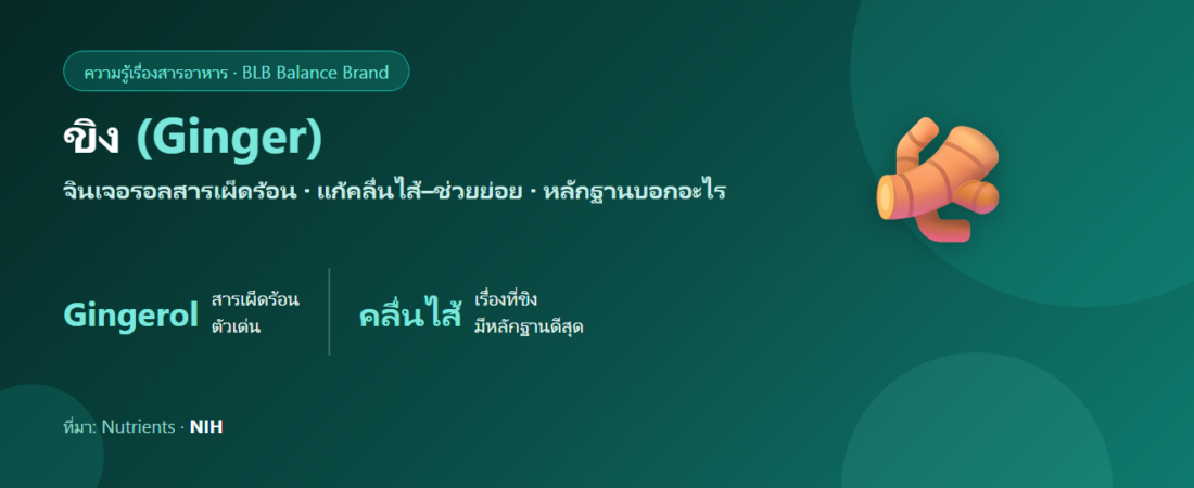 ขิง (Ginger) สรรพคุณ : จินเจอรอล คลื่นไส้ การอักเสบ และความจริงตามงานวิจัย