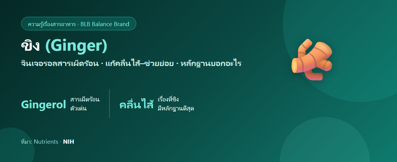ขิง (Ginger) สรรพคุณ : จินเจอรอล คลื่นไส้ การอักเสบ และความจริงตามงานวิจัย