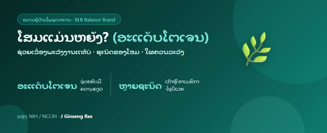 ໂສມແມ່ນຫຍັງ? ຊ່ວຍເລື່ອງພະລັງງານແທ້ບໍ — ອະແດັບໂຕເຈນ ຊະນິດ ແລະ ຂໍ້ຄວນລະວັງ