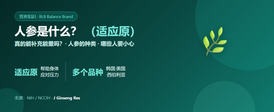 人参是什么?真的能补充能量吗?认识适应原、人参种类与注意事项