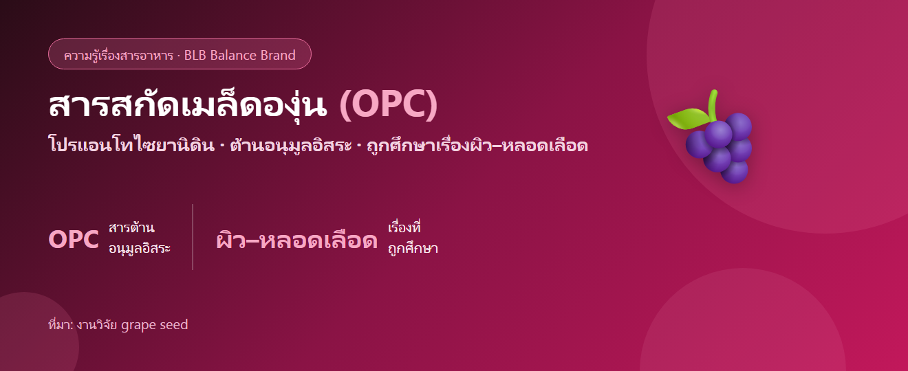 สารสกัดเมล็ดองุ่น (Grape Seed Extract) คืออะไร? สารต้านอนุมูลอิสระเพื่อผิวและหลอดเลือด