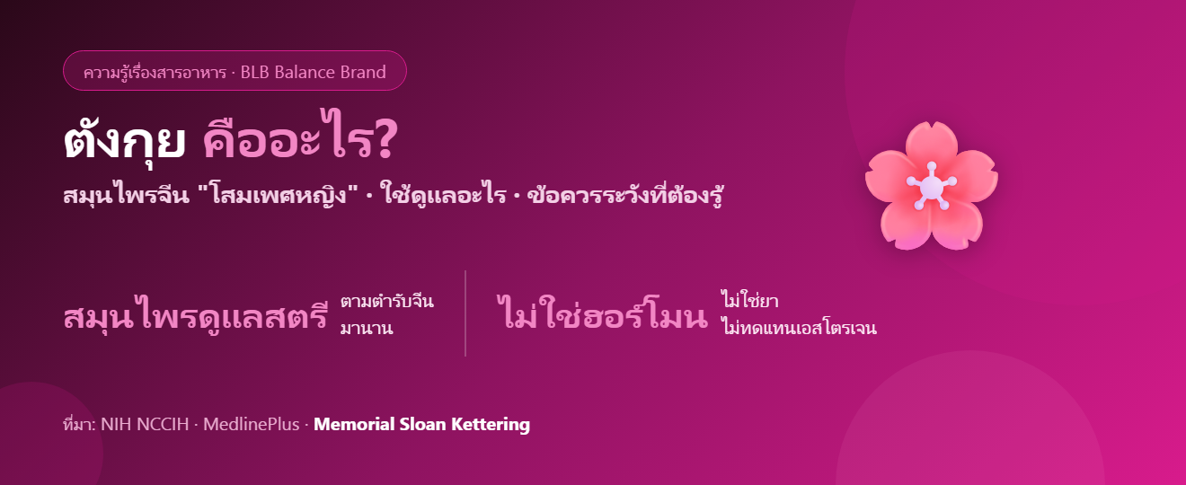 ตังกุย (Dong Quai) คืออะไร? สมุนไพรดูแลสตรี ประโยชน์ และข้อควรระวัง