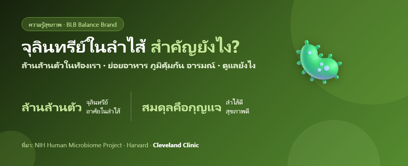 จุลินทรีย์ในลำไส้ (Gut Microbiome) สำคัญยังไง? ลำไส้ดี สุขภาพดี