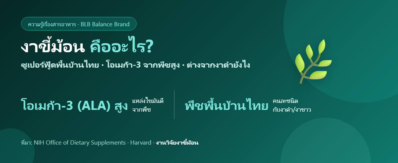 งาขี้ม้อน คืออะไร? ประโยชน์ โอเมก้า-3 จากพืช และวิธีกินให้ได้ผล