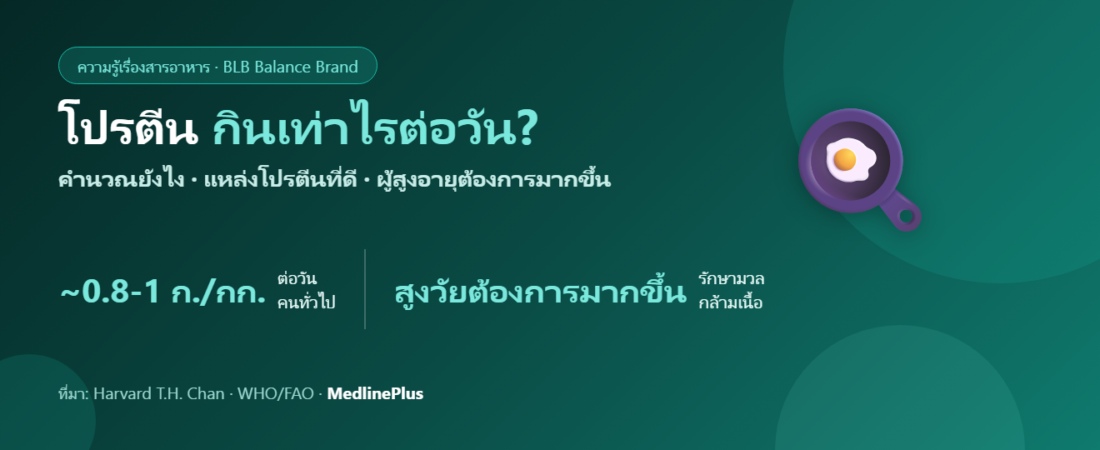 โปรตีน กินเท่าไรต่อวัน? คำนวณปริมาณ แหล่งอาหาร และความเชื่อผิดๆ