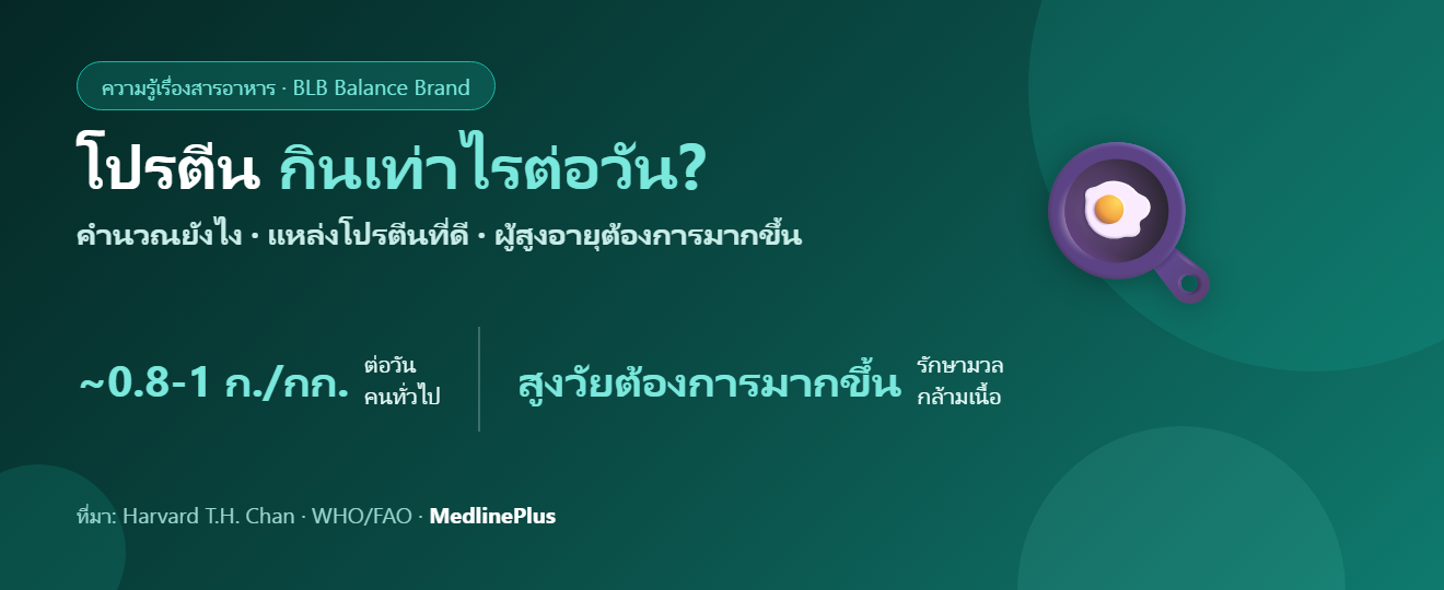 โปรตีน กินเท่าไรต่อวัน? คำนวณปริมาณ แหล่งอาหาร และความเชื่อผิดๆ