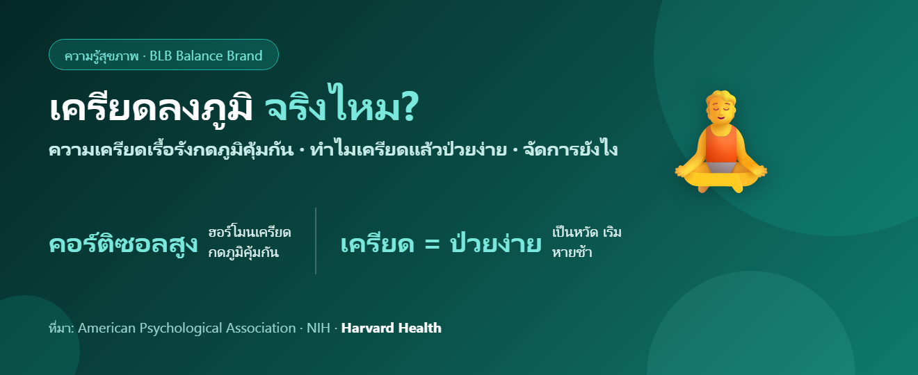 เครียดลงภูมิ จริงไหม? ความเครียดเรื้อรังทำภูมิคุ้มกันตกอย่างไร และวิธีจัดการ