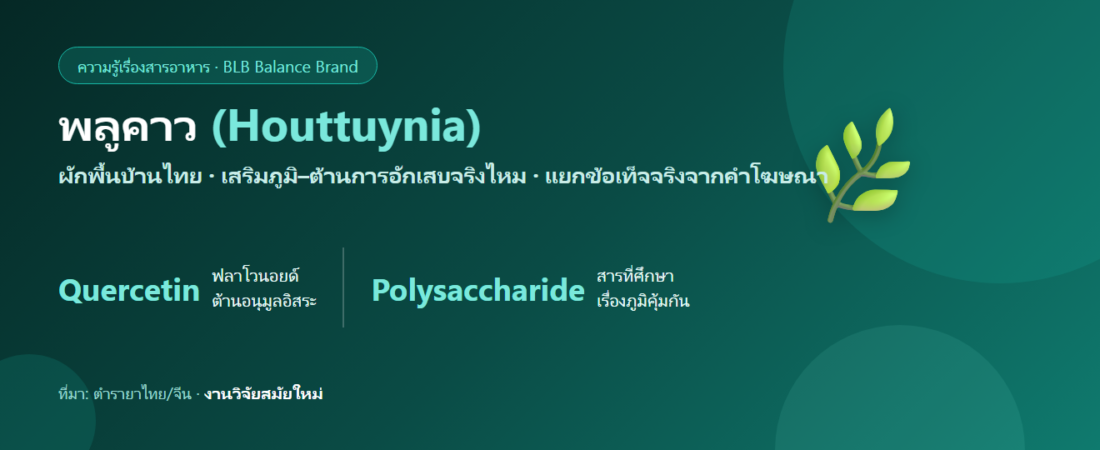 พลูคาว (Houttuynia) คืออะไร? สรรพคุณ สารสำคัญ และความจริงเรื่องเสริมภูมิคุ้มกัน