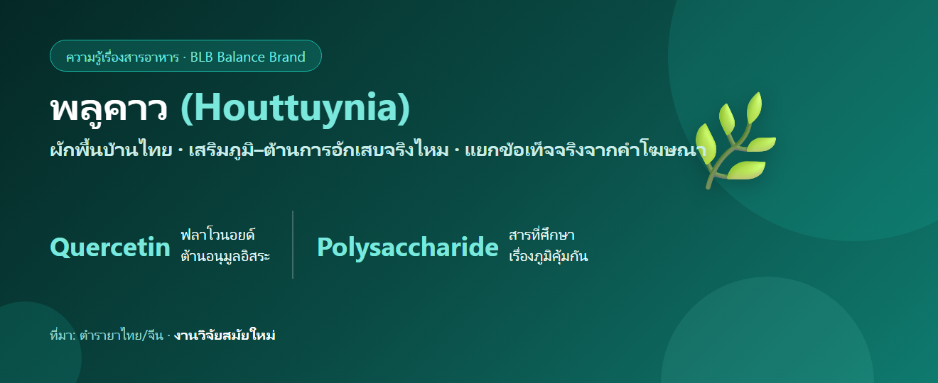 พลูคาว (Houttuynia) คืออะไร? สรรพคุณ สารสำคัญ และความจริงเรื่องเสริมภูมิคุ้มกัน