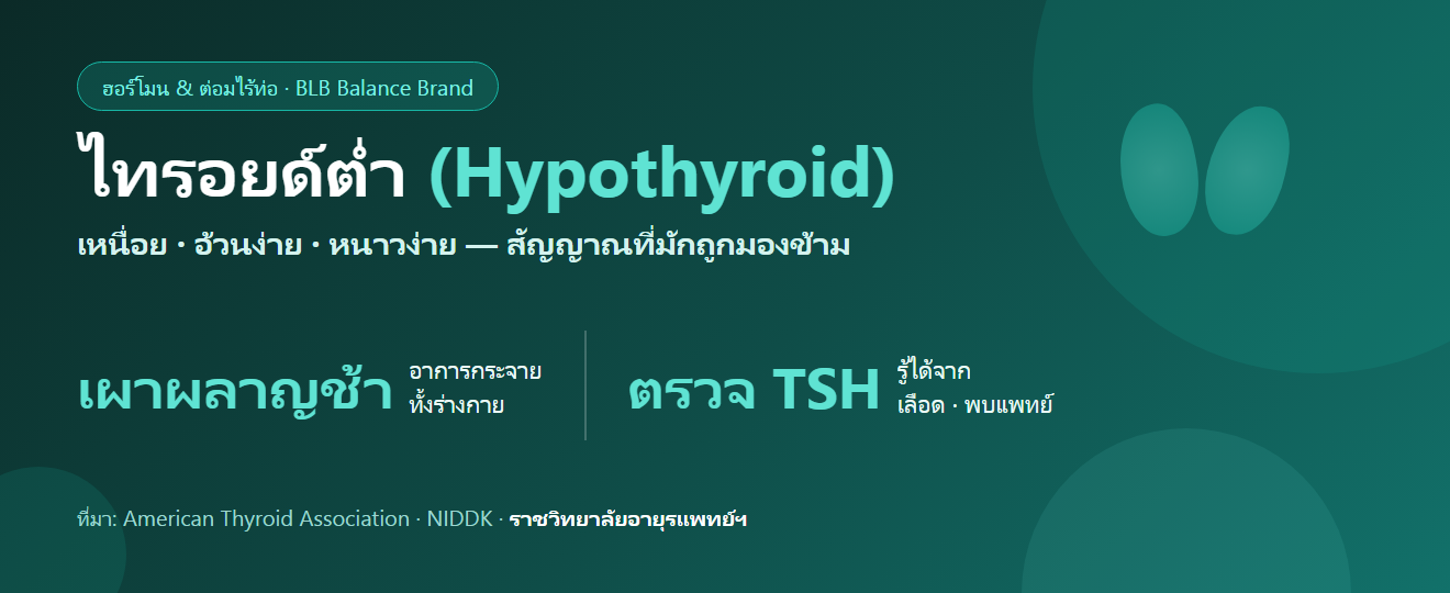 ไทรอยด์ต่ำ (Hypothyroid) : ทำไมเหนื่อย อ้วนง่าย หนาวง่าย — อาการ สาเหตุ การตรวจ และการดูแลตัวเอง