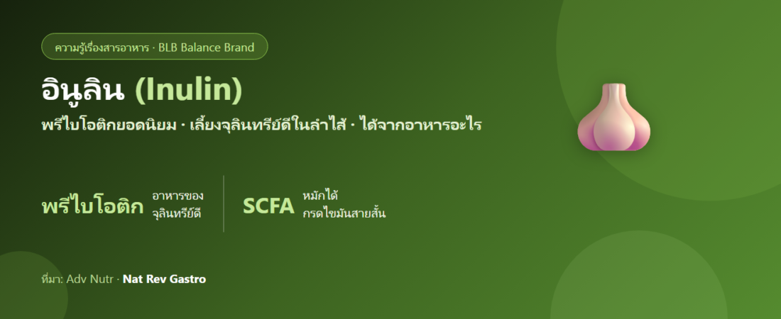 อินูลิน (Inulin) คืออะไร? พรีไบโอติกเลี้ยงจุลินทรีย์ดี และได้จากอาหารอะไร