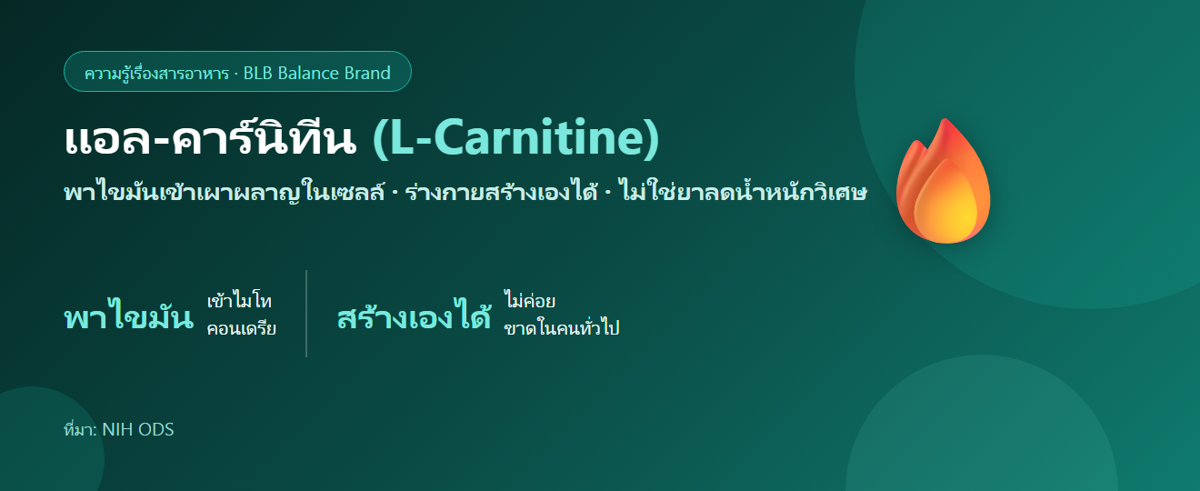 แอล-คาร์นิทีน (L-Carnitine) คืออะไร? ตัวพาไขมันไปเผาผลาญกับความจริงเรื่องลดน้ำหนัก