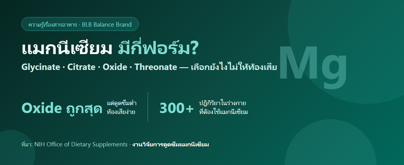แมกนีเซียมมีกี่ฟอร์ม เลือกยังไงไม่ให้ท้องเสีย : Glycinate Citrate Oxide Threonate ต่างกันยังไง