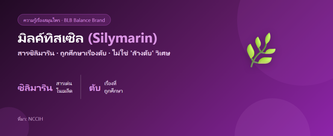 มิลค์ทิสเซิล (Milk Thistle) คืออะไร? สมุนไพรที่คนพูดถึงเรื่องดูแลตับ