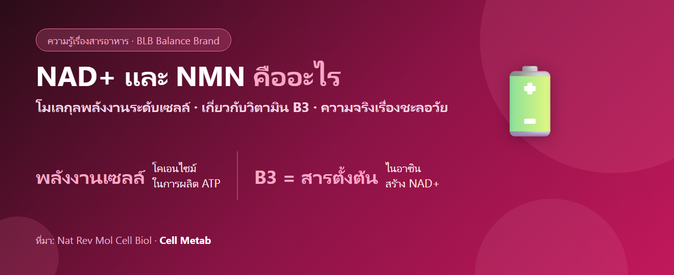 NAD+ คืออะไร? โมเลกุลพลังงานระดับเซลล์ วิตามิน B3 และความจริงเรื่องชะลอวัย