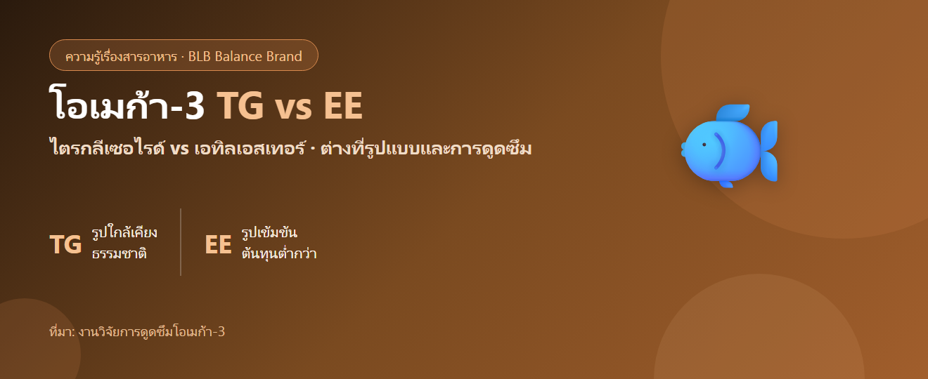 โอเมก้า-3 รูปแบบ TG vs EE ต่างกันยังไง? เรื่องที่ฉลากน้ำมันปลาไม่ค่อยบอก