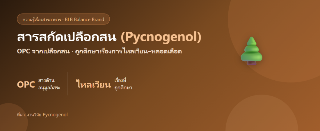 สารสกัดเปลือกสน (Pycnogenol) คืออะไร? สารต้านอนุมูลอิสระเพื่อการไหลเวียน