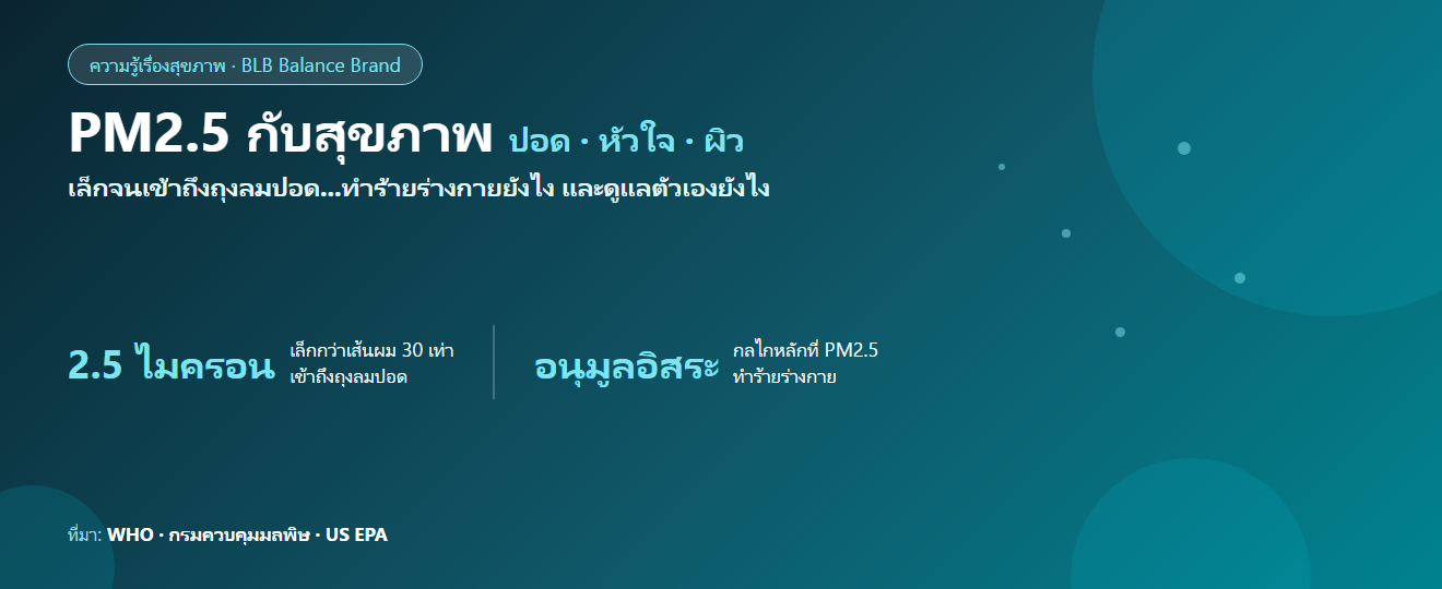 PM2.5 กับสุขภาพ : ทำร้ายปอด หัวใจ ผิว ยังไง และวิธีป้องกันที่ได้ผลจริง (อ้างอิงข้อมูลแพทย์)