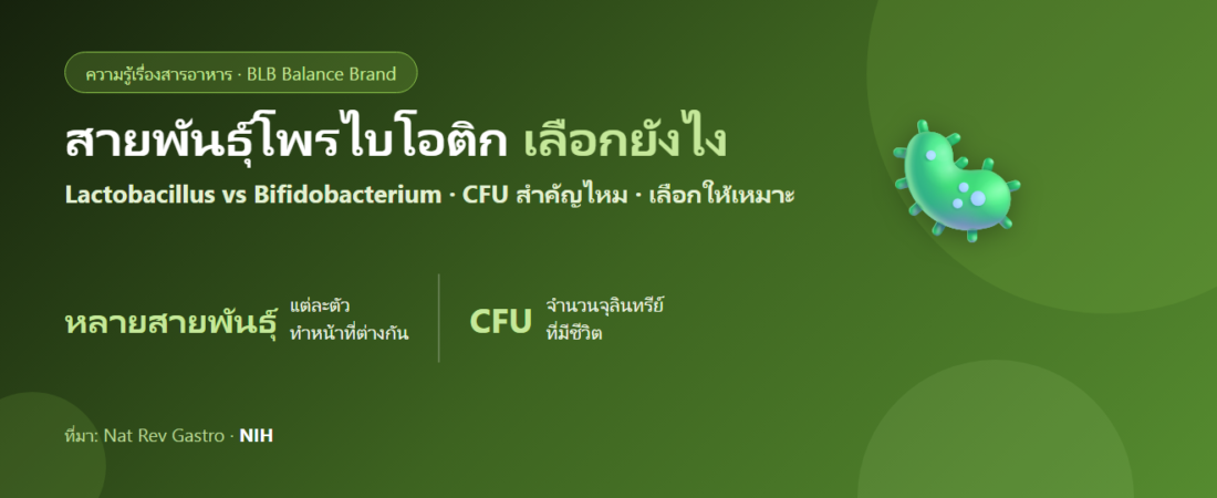 สายพันธุ์โพรไบโอติก : Lactobacillus กับ Bifidobacterium ต่างกันยังไง และเลือกยังไง