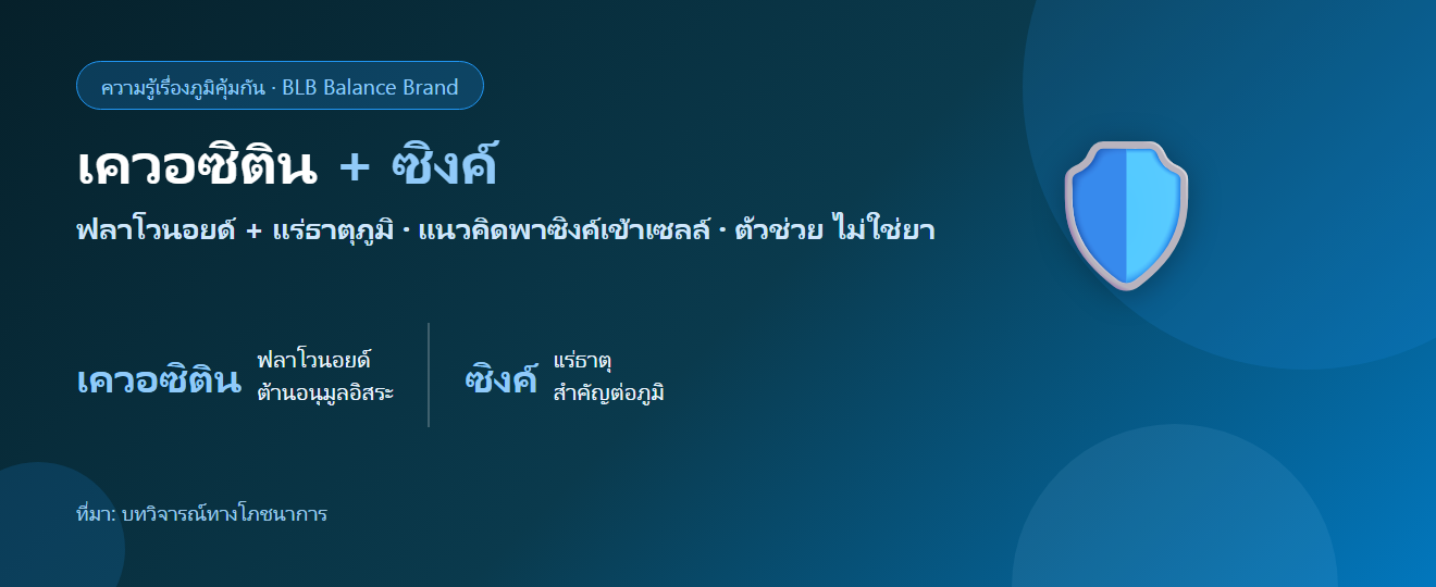 เควอซิติน + ซิงค์ ทำงานร่วมกันเรื่องภูมิยังไง