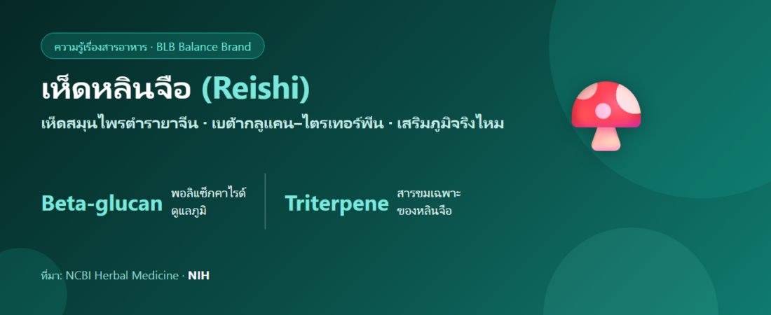 เห็ดหลินจือ (Reishi) คืออะไร? สรรพคุณ เบต้ากลูแคน และความจริงเรื่องเสริมภูมิ