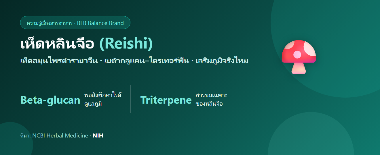เห็ดหลินจือ (Reishi) คืออะไร? สรรพคุณ เบต้ากลูแคน และความจริงเรื่องเสริมภูมิ