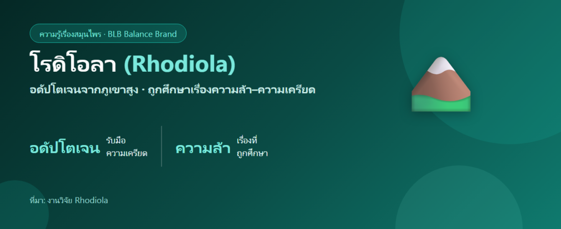 โรดิโอลา (Rhodiola) คืออะไร? สมุนไพรอดัปโตเจนกับความล้าและความเครียด