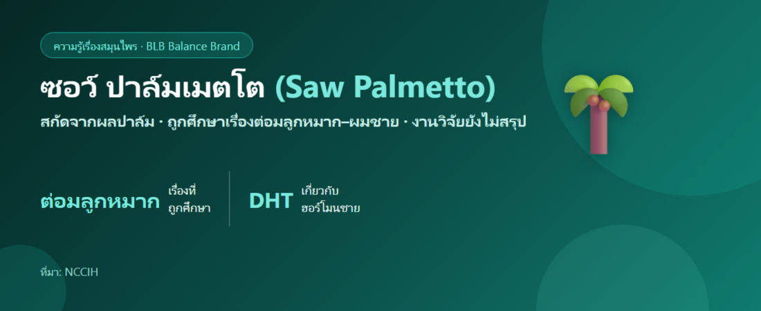 ซอว์ ปาล์มเมตโต คืออะไร? สมุนไพรที่ผู้ชายพูดถึงเรื่องต่อมลูกหมากและผม