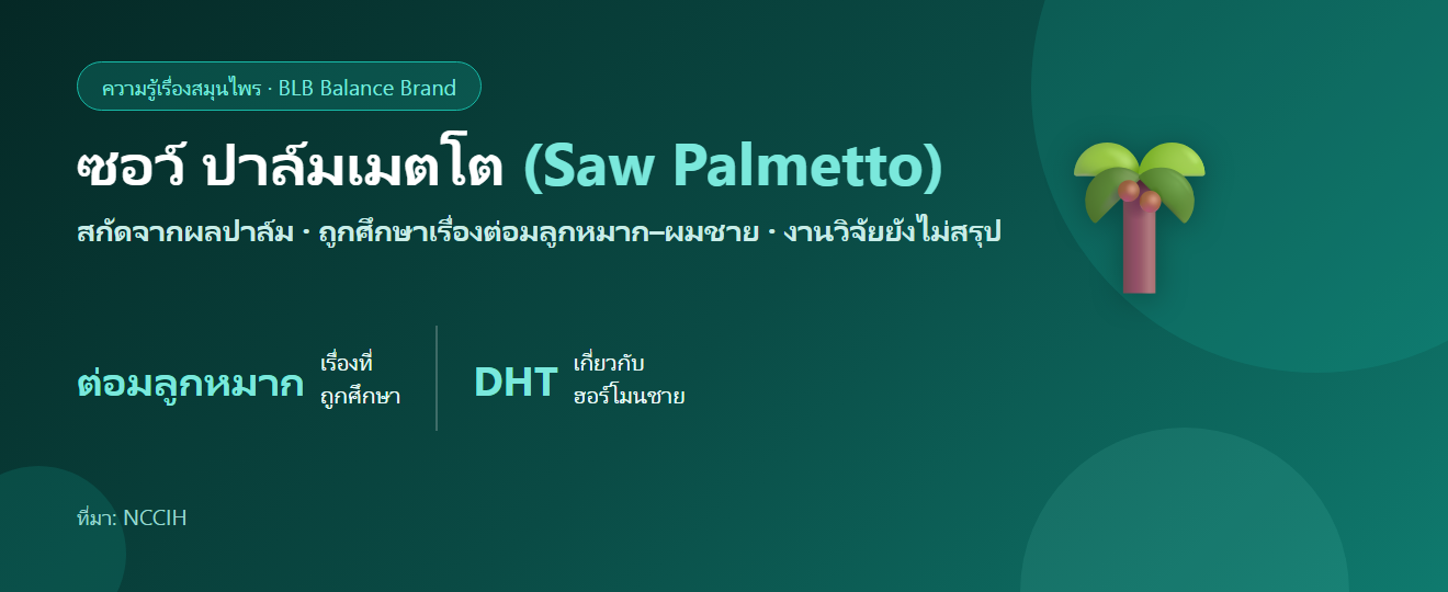ซอว์ ปาล์มเมตโต คืออะไร? สมุนไพรที่ผู้ชายพูดถึงเรื่องต่อมลูกหมากและผม