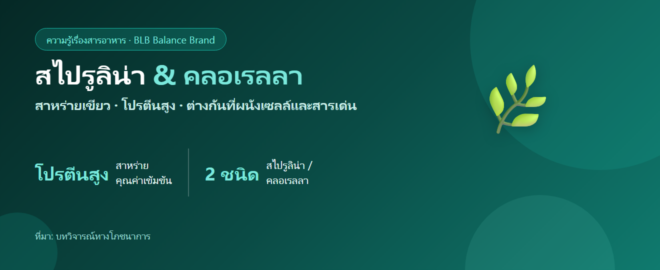 สไปรูลิน่า & คลอเรลลา ต่างกันยังไง? สาหร่ายสีเขียวกับโปรตีนและสารอาหาร