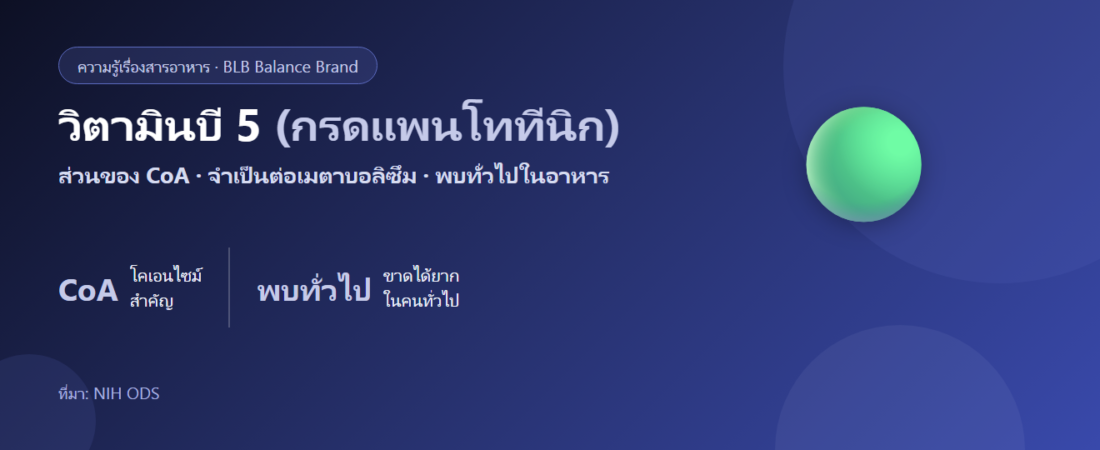 วิตามินบี 5 (กรดแพนโททีนิก) คืออะไร? พลังงาน ผิว และความเครียด