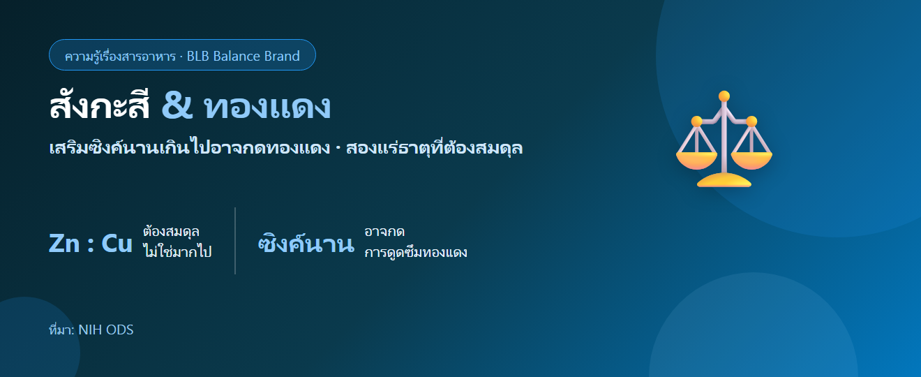 สังกะสี & ทองแดง ทำไมต้องสมดุล? เรื่องที่คนเสริมซิงค์นาน ๆ ควรรู้