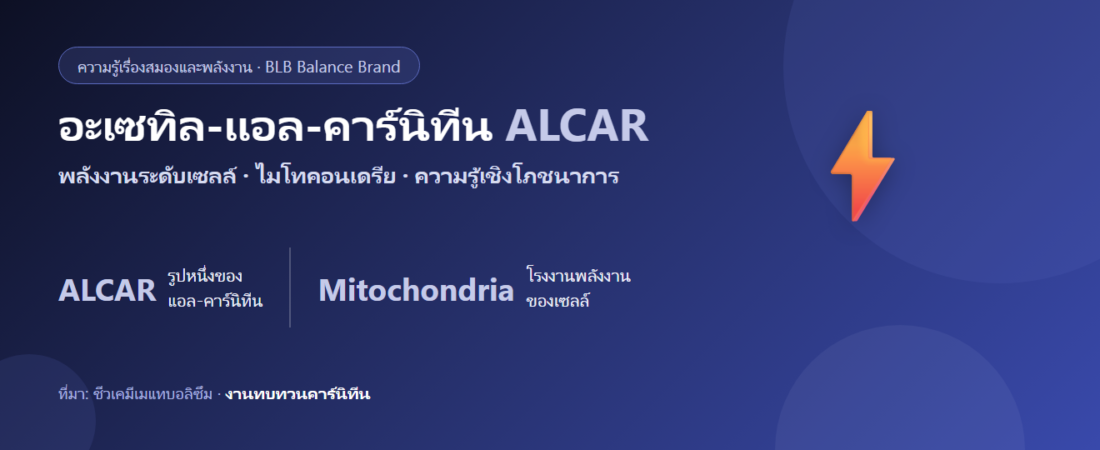 อะเซทิล-แอล-คาร์นิทีน (ALCAR) กับสมองและพลังงานระดับเซลล์